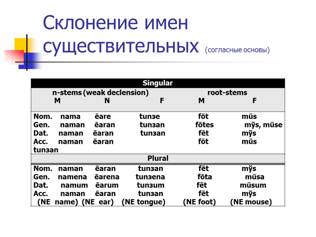 Склонение имен существительных (согласные основы)